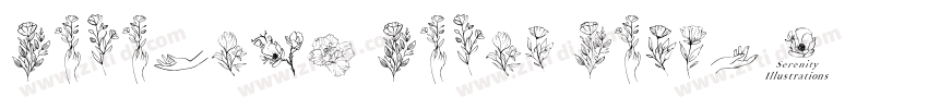 Serenity Serif Regul字体转换